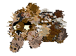 Sediment