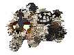 Taiga
