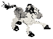 Canter